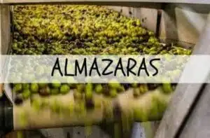 ALMAZARAS DE ACEITE DE OLIVA